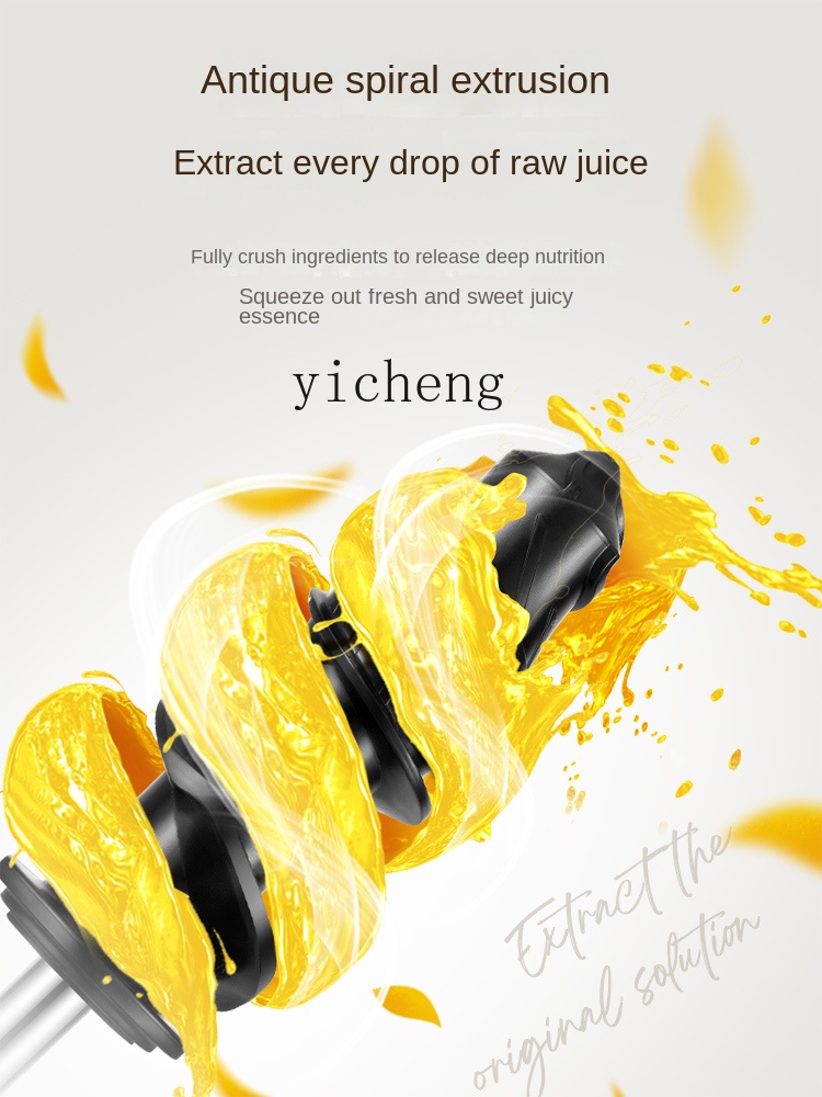Juicer - Extractor de Jugos de Baja Velocidad