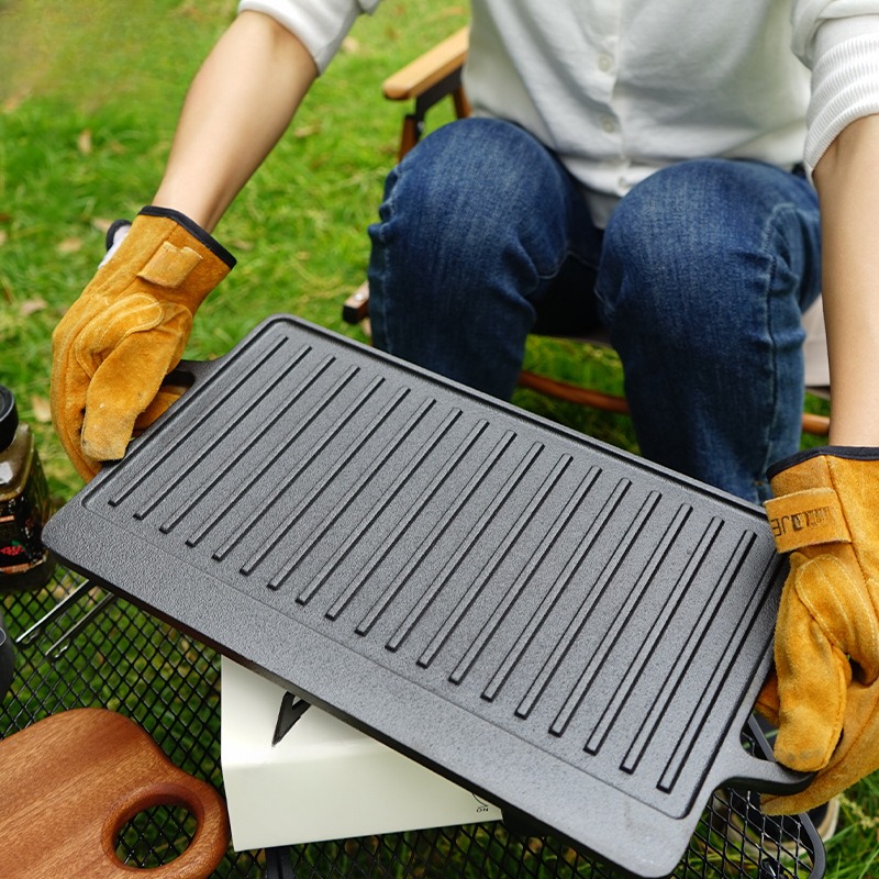 Plato de barbacoa para acampar - Induction Cooker reseña y precio